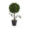 15" Potted Tabletop Boxwood Topiary Tree